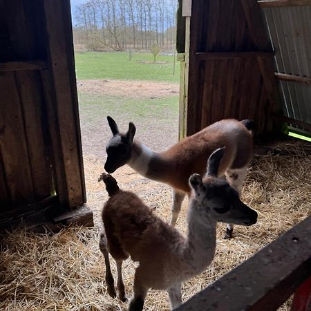 Billund Farm Holiday Buitenkant foto
