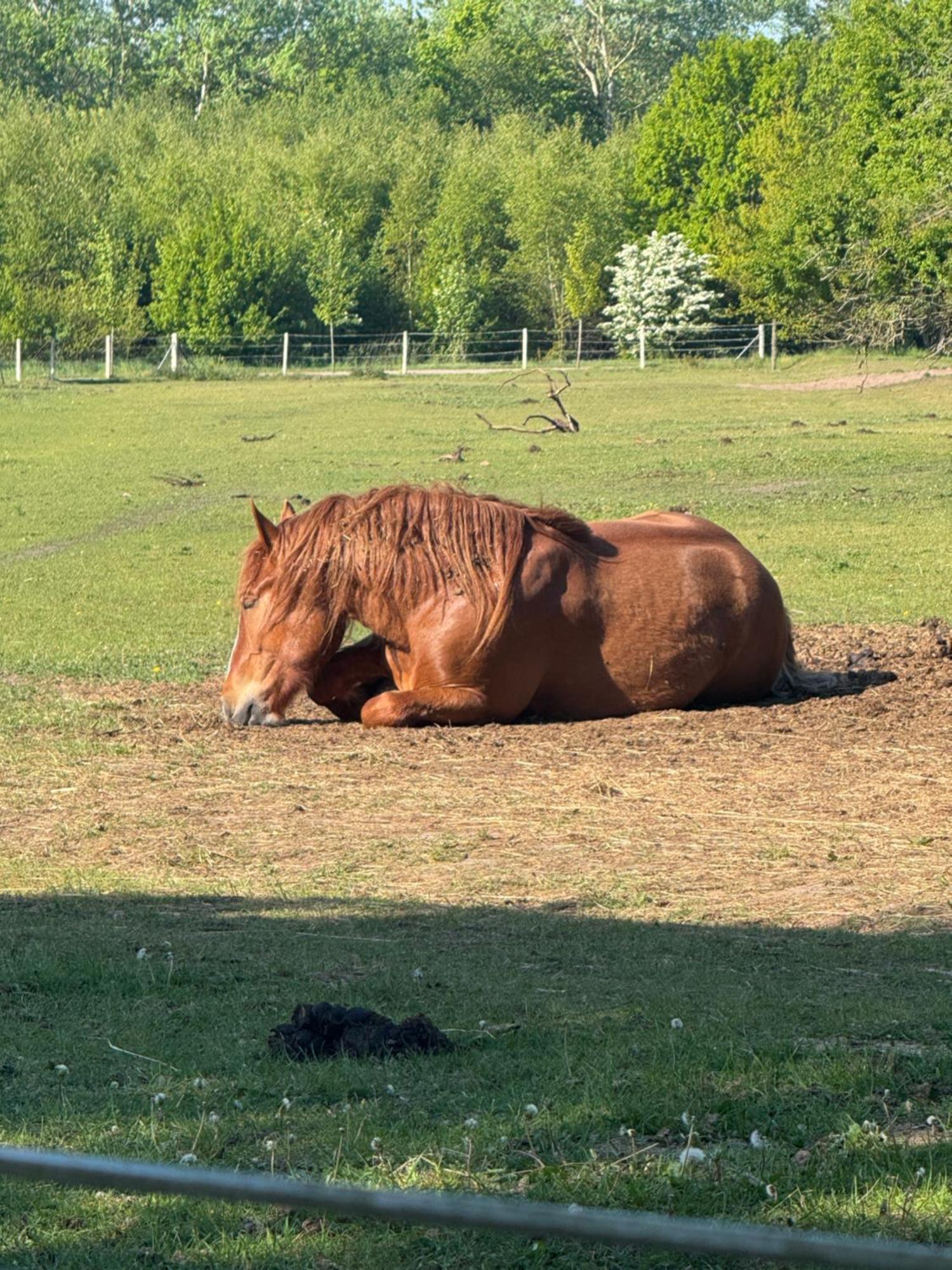 Billund Farm Holiday Buitenkant foto